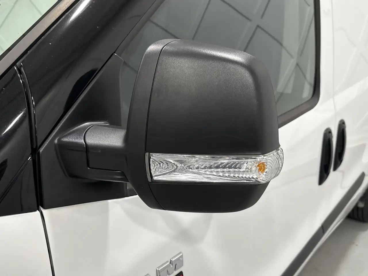 RAM Promaster снимка RAM Promaster