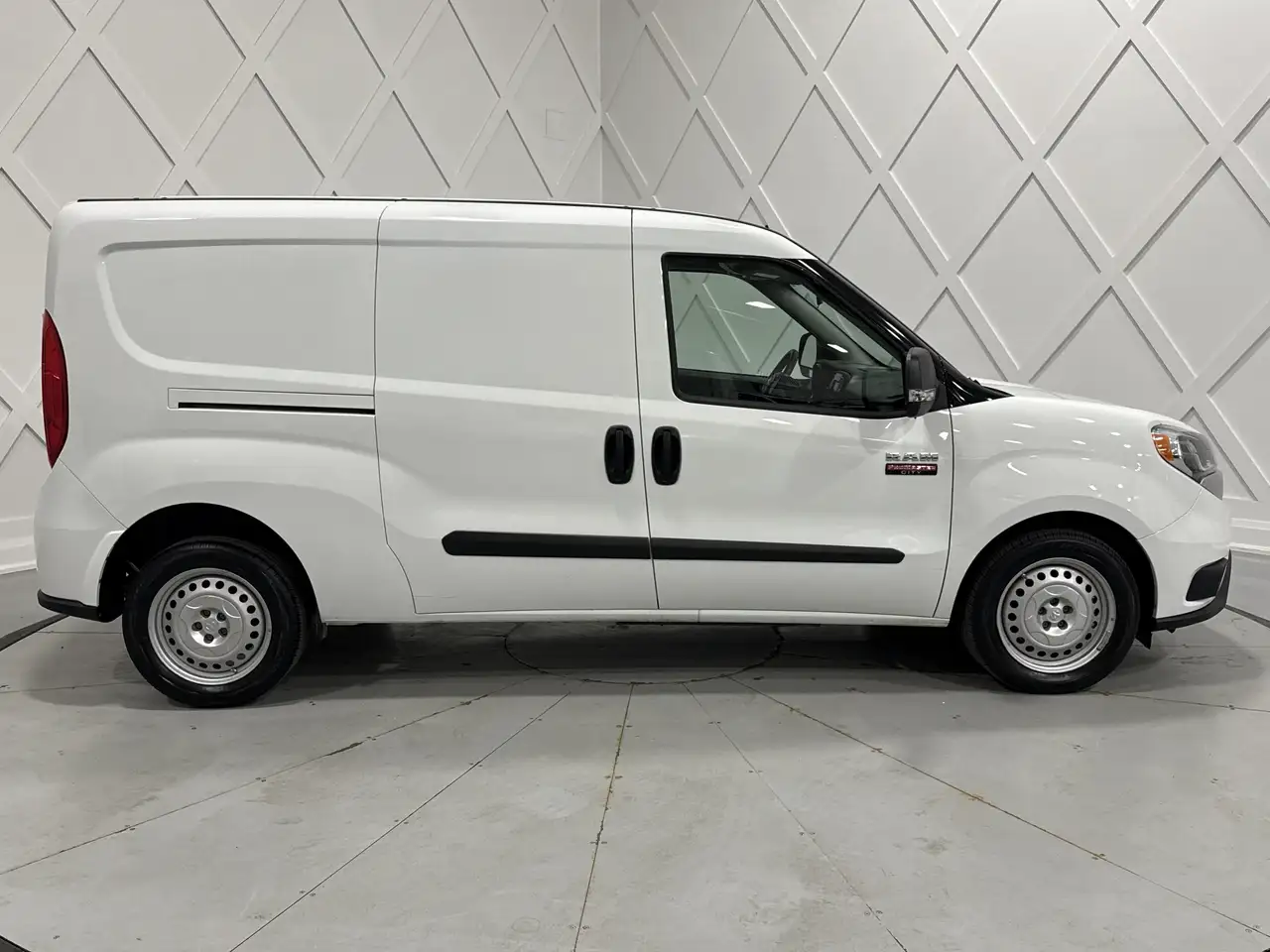 RAM Promaster снимка RAM Promaster