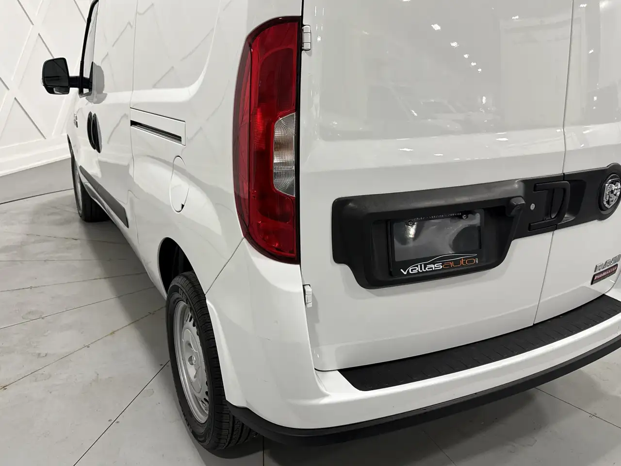 RAM Promaster снимка RAM Promaster