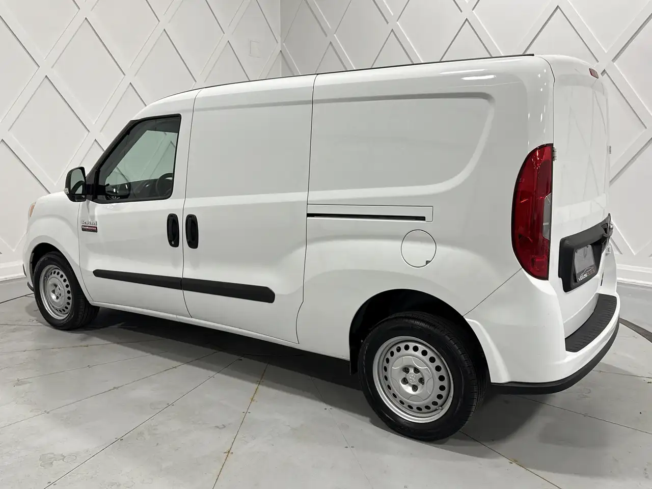 RAM Promaster снимка RAM Promaster