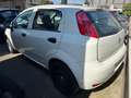 Fiat Punto 🔴FIAT PUNTO 1.2 69CV BENZINA MANUALE Blanc - thumbnail 2