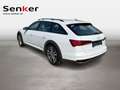 Audi A6 allroad 55 TDI quattro PA Weiß - thumbnail 3
