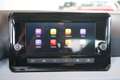 SEAT Ibiza Reference 1.0 TSI 95PS Schwarz - thumbnail 8