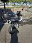 Piaggio Beverly 300 Bleu - thumbnail 6