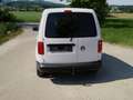 Volkswagen Caddy Caddy Kombi Maxi Trendline 2,0 TDI DSG Trendline Weiß - thumbnail 5