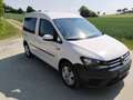 Volkswagen Caddy Caddy Kombi Maxi Trendline 2,0 TDI DSG Trendline Weiß - thumbnail 9