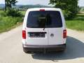 Volkswagen Caddy Caddy Kombi Maxi Trendline 2,0 TDI DSG Trendline Weiß - thumbnail 4