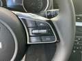 Kia Ceed SW / cee'd SW Sportswagon Spin Navi. Klima Einparkhilfe Tempo... Grün - thumbnail 15