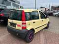 Fiat Panda 1.1 8V Active*TÜV 02/2026 Geel - thumbnail 5
