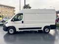 Fiat Ducato 30 2.2 Mjt 120CV PM-TM Furgone Bianco - thumbnail 7