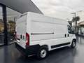 Fiat Ducato 30 2.2 Mjt 120CV PM-TM Furgone Bianco - thumbnail 4