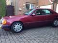 Mercedes-Benz CE 300 300 CE-24 Red - thumbnail 2