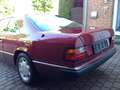Mercedes-Benz CE 300 300 CE-24 Red - thumbnail 5