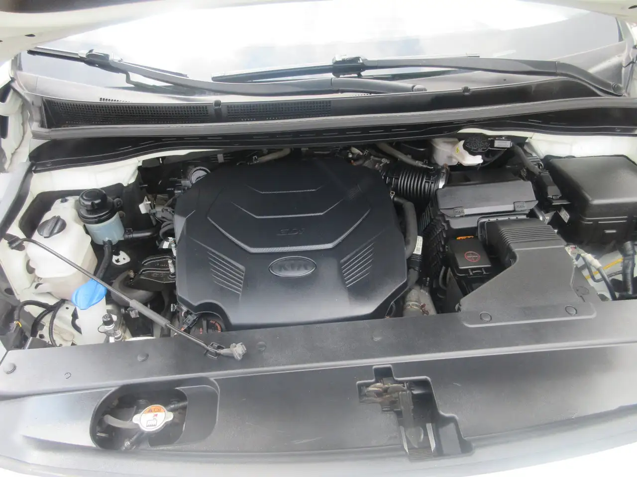 Kia Sedona снимка Kia Sedona