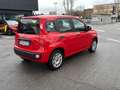 Fiat Panda Panda 1.2 Easy Rosso - thumbnail 7