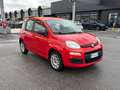 Fiat Panda Panda 1.2 Easy Rosso - thumbnail 9