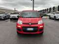 Fiat Panda Panda 1.2 Easy Rosso - thumbnail 2