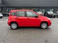 Fiat Panda Panda 1.2 Easy Rosso - thumbnail 8
