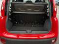 Fiat Panda Panda 1.2 Easy Rosso - thumbnail 5