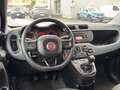Fiat Panda Panda 1.2 Easy Rosso - thumbnail 11