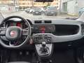 Fiat Panda Panda 1.2 Easy Rosso - thumbnail 12