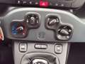 Fiat Panda Panda 1.2 Easy Rosso - thumbnail 15