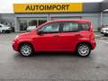 Fiat Panda Panda 1.2 Easy Rosso - thumbnail 3
