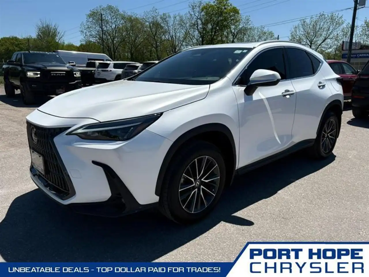 2025 Lexus NX