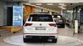 Volkswagen Tiguan 2.0 TDI 3x R-Line 4-Motion DSG *AHK*Head-up*Pano*K Weiß - thumbnail 5