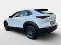 Mazda CX-30 e-Skyactive G140 Prime-Line Weiß - thumbnail 5