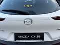 Mazda CX-30 e-Skyactive G140 Prime-Line Weiß - thumbnail 10