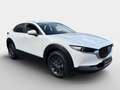 Mazda CX-30 e-Skyactive G140 Prime-Line Weiß - thumbnail 2