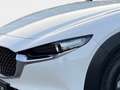 Mazda CX-30 e-Skyactive G140 Prime-Line Weiß - thumbnail 7