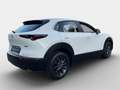 Mazda CX-30 e-Skyactive G140 Prime-Line Weiß - thumbnail 4