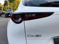 Mazda CX-30 e-Skyactive G140 Prime-Line Weiß - thumbnail 26