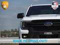 Ford Ranger Wildtrak | 2.3L | Double Cab | PHEV | Ook Milieuzo Blanc - thumbnail 11