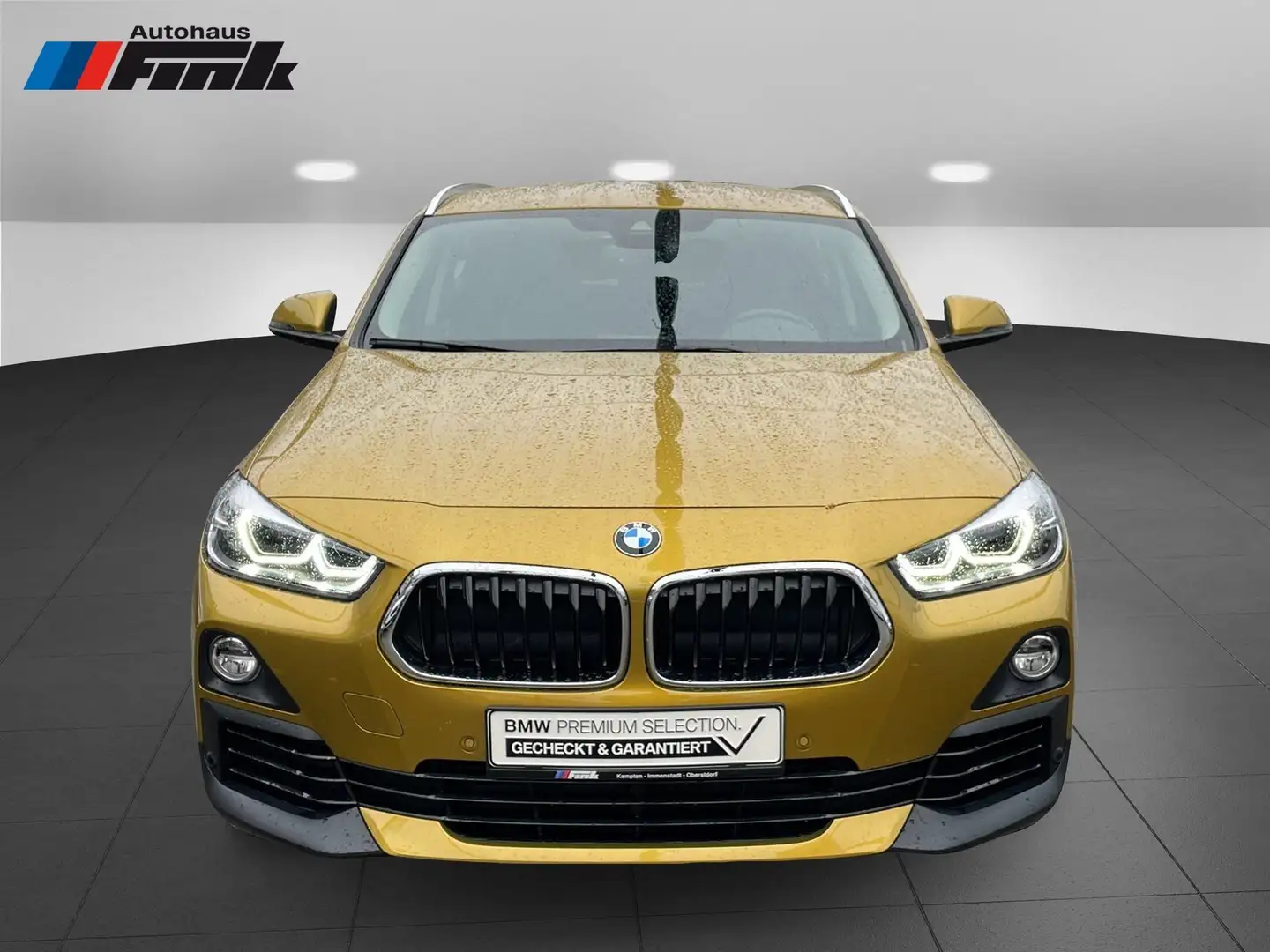 BMW X2 sDrive18i (ab 2017) Advantage HiFi DAB LED Gold - 2