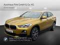 BMW X2 sDrive18i (ab 2017) Advantage HiFi DAB LED Gold - thumbnail 1