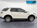 Land Rover Discovery Sport 2.0 TD4 AWD aut. 180 CV HSE Weiß - thumbnail 4
