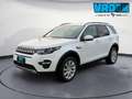 Land Rover Discovery Sport 2.0 TD4 AWD aut. 180 CV HSE Weiß - thumbnail 1