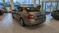 Skoda Octavia 1.0 TSI  Ambition*LED*PDC*Smartlink*SHZ* Beige - thumbnail 5