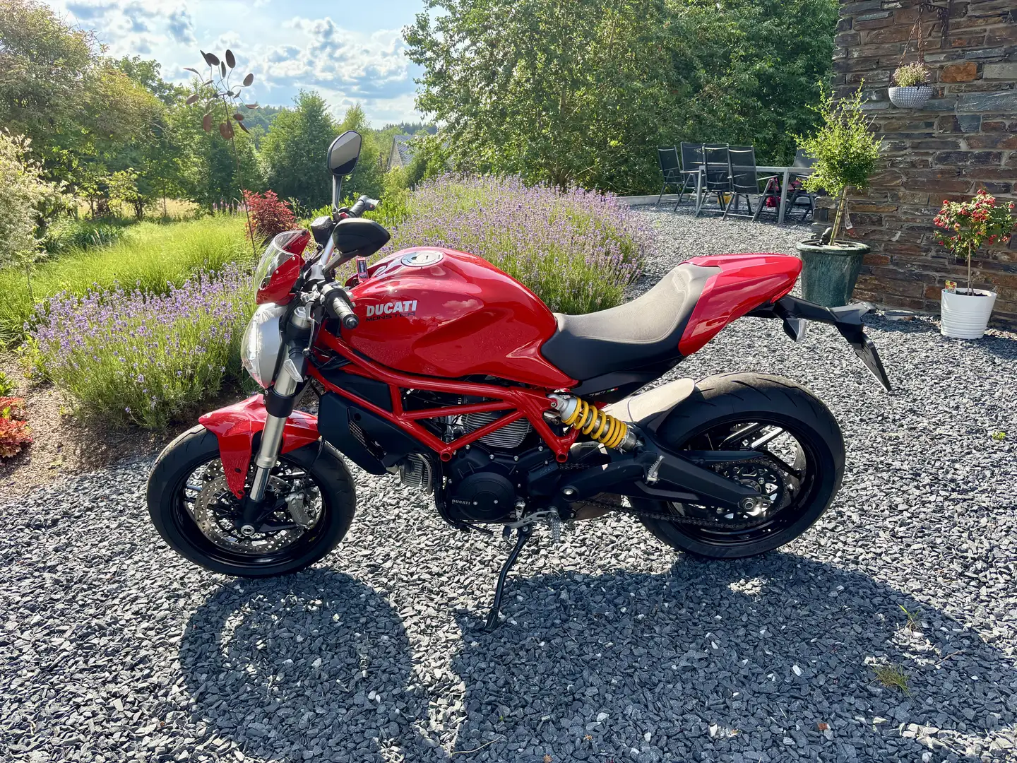 Ducati Monster 797 - 2