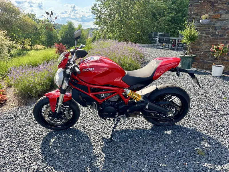 Ducati Monster 797 - foto 2