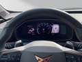 CUPRA Formentor 2.0 VZ 4Drive *Navi*Pano*LED*Beats* Grau - thumbnail 14
