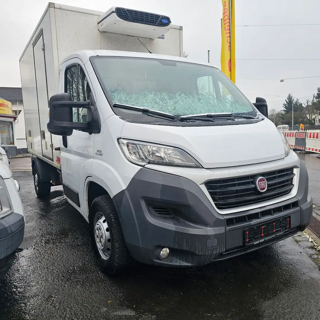 Fiat Ducato 2.3 Kühlkoffer,  Seitentür. Weiß - 1
