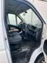 Fiat Ducato 2.3 Kühlkoffer,  Seitentür. Weiß - thumbnail 14