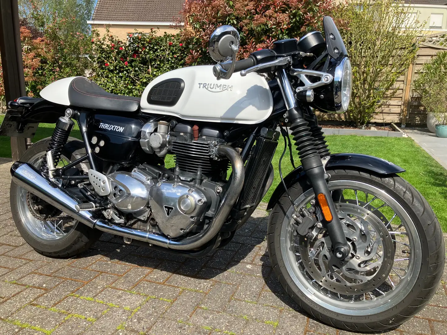 Triumph Thruxton 1200 Alb - 1