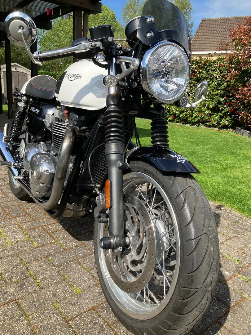 Triumph Thruxton 1200 Alb - 2