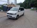Volkswagen T5 California Beach Weiß - thumbnail 13