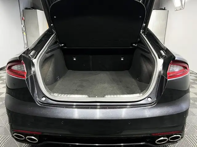 Kia Stinger view 8